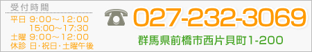 診療時間：平日 9:00～12:00／15:00～17:30 土曜 9:00～12:00 休診 日･祝日･土曜午後 お問い合わせは『ホームページを見た』とお伝え下さい。電話番号：027-232-3069